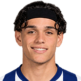 Hector Fort